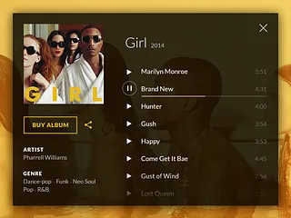 Preview of Music Player. Widget