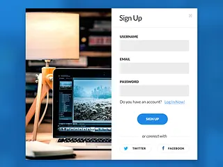 Preview of Sign Up