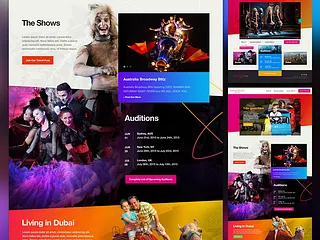 Preview of Auditions related website