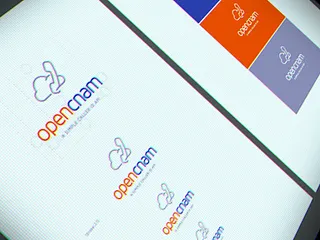 Preview of Logo redesign. Brand guidelines