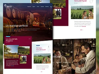 Preview of Culinary & Wine Tourism. Promotional Website