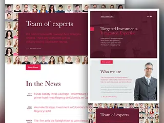 Preview of Landing Page - Financial co