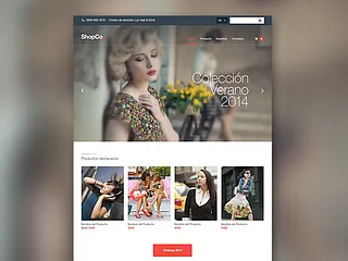 Preview of Ecommerce Theme
